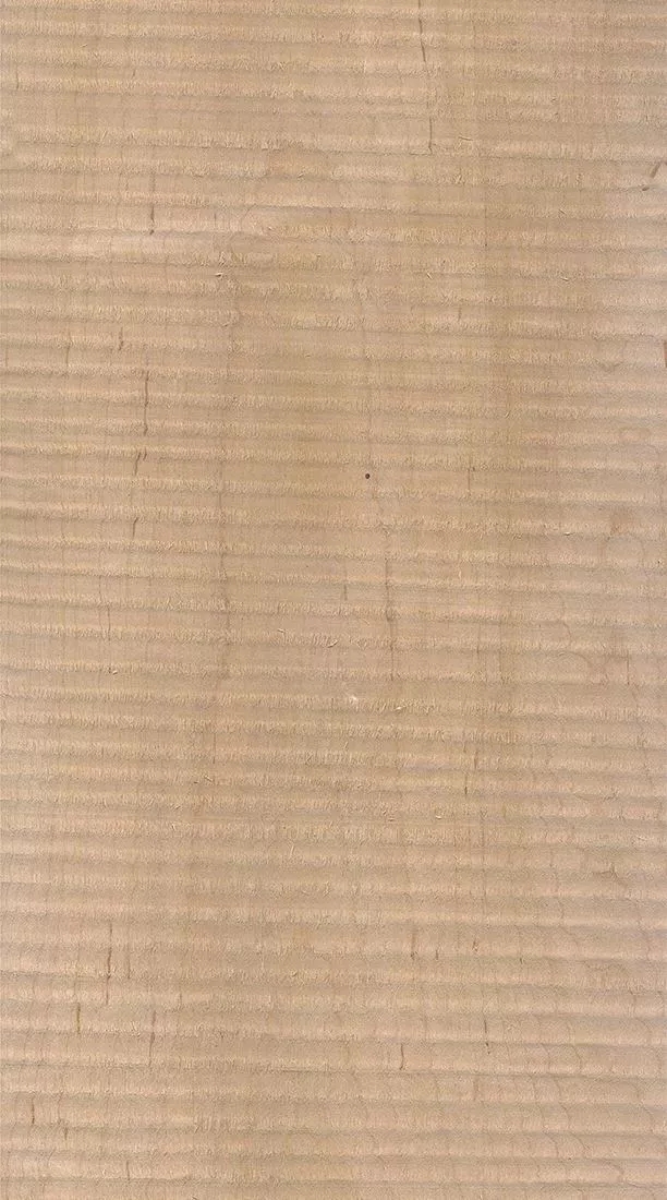 樺木的芯材顏色是淡紅棕色，邊材顏色近白色，板面寬且?guī)в暗哪酒な袌鰞r(jià)格良好，紋理通常是直紋和波浪紋，質(zhì)地均勻，板面有很好的自然光澤度。.webp.jpg