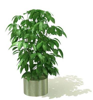 1622098588.png image.png